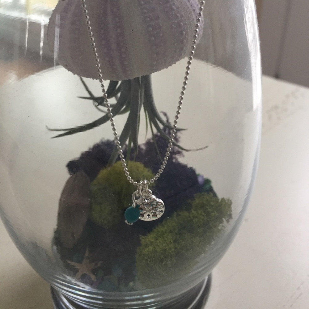 Beautiful Sand dollar Anklet